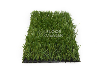 Искусственная трава Apoluza Sportfloor TURF 60/13s Green фото 1 | FLOORDEALER
